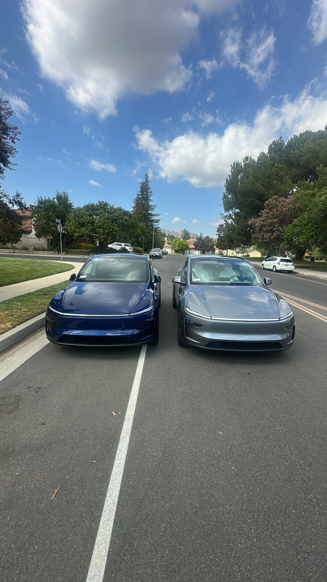 Model Y Tesla 26’