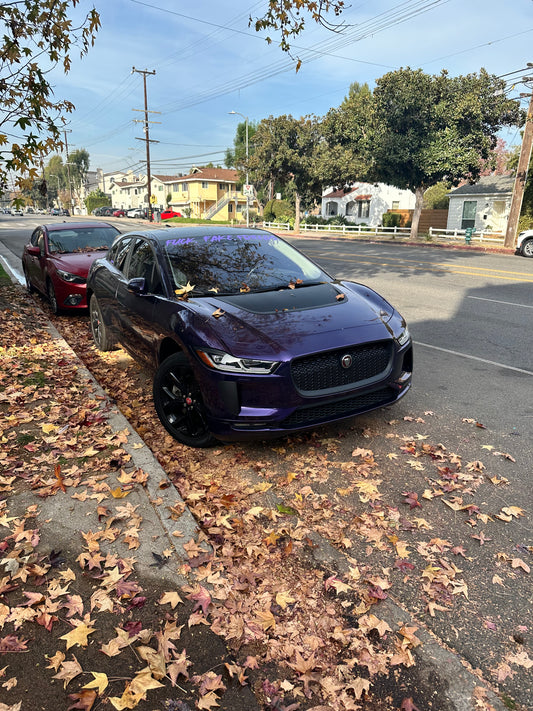 Jaguar IPace